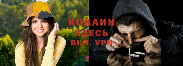 шишки Горняк