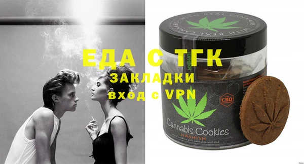 шишки Горняк