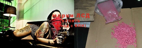шишки Горняк
