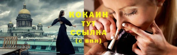 шишки Горняк