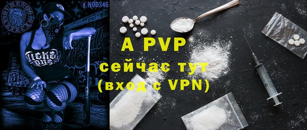шишки Горняк