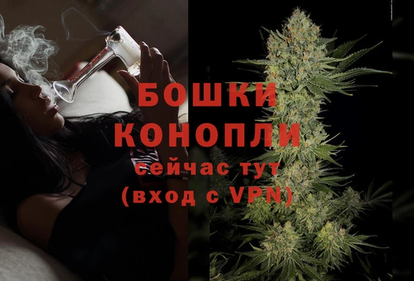 шишки Горняк