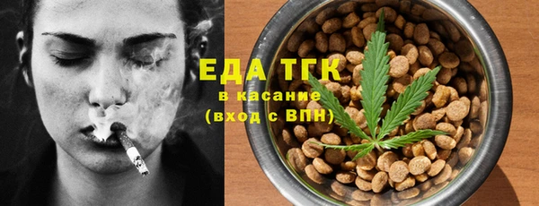 шишки Горняк