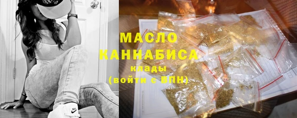 шишки Горняк