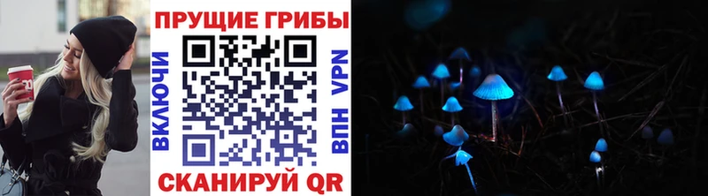 Псилоцибиновые грибы мицелий  Новый Оскол 